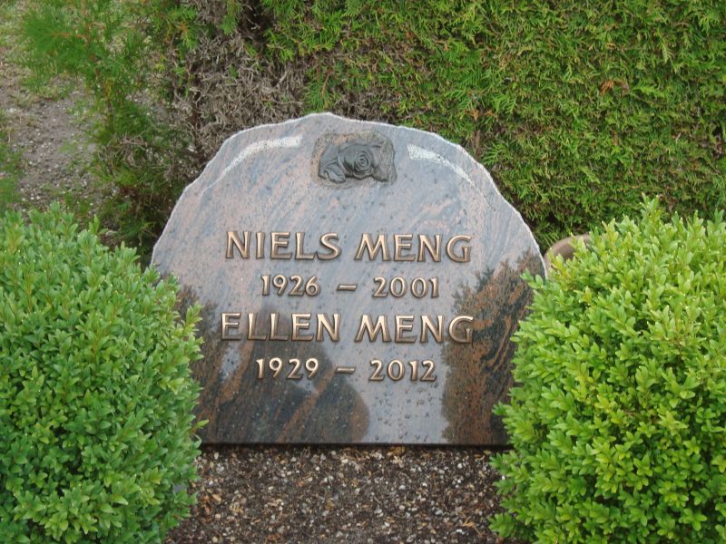 Ellen Meng.JPG